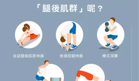 淺談「腿後肌群 (Hamstring)」