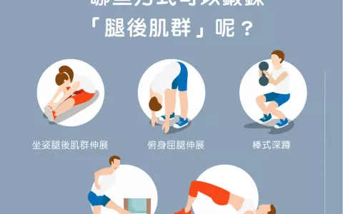 img_淺談「腿後肌群 (Hamstring)」